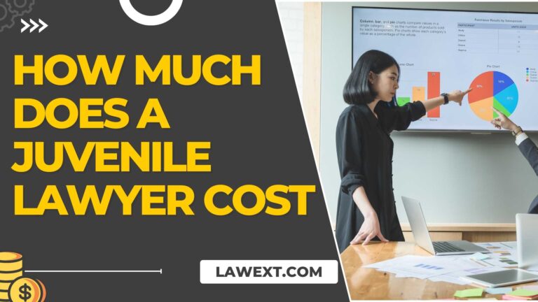 How Much Does a Juvenile Lawyer Cost