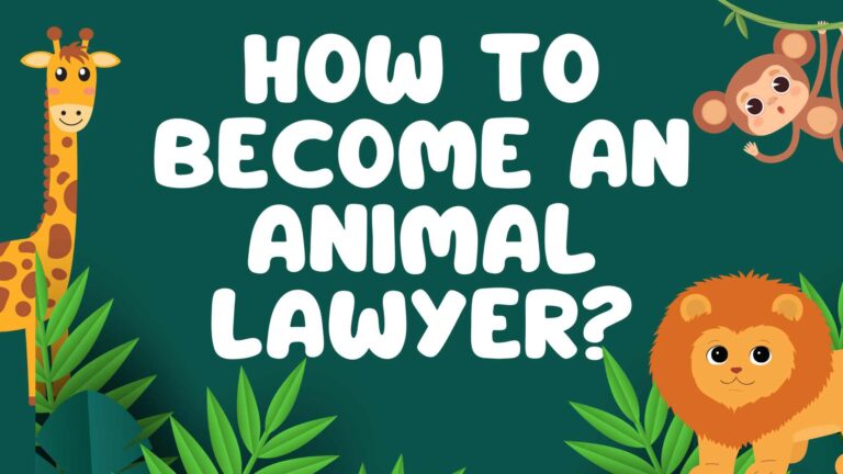 How to Become an Animal Lawyer?