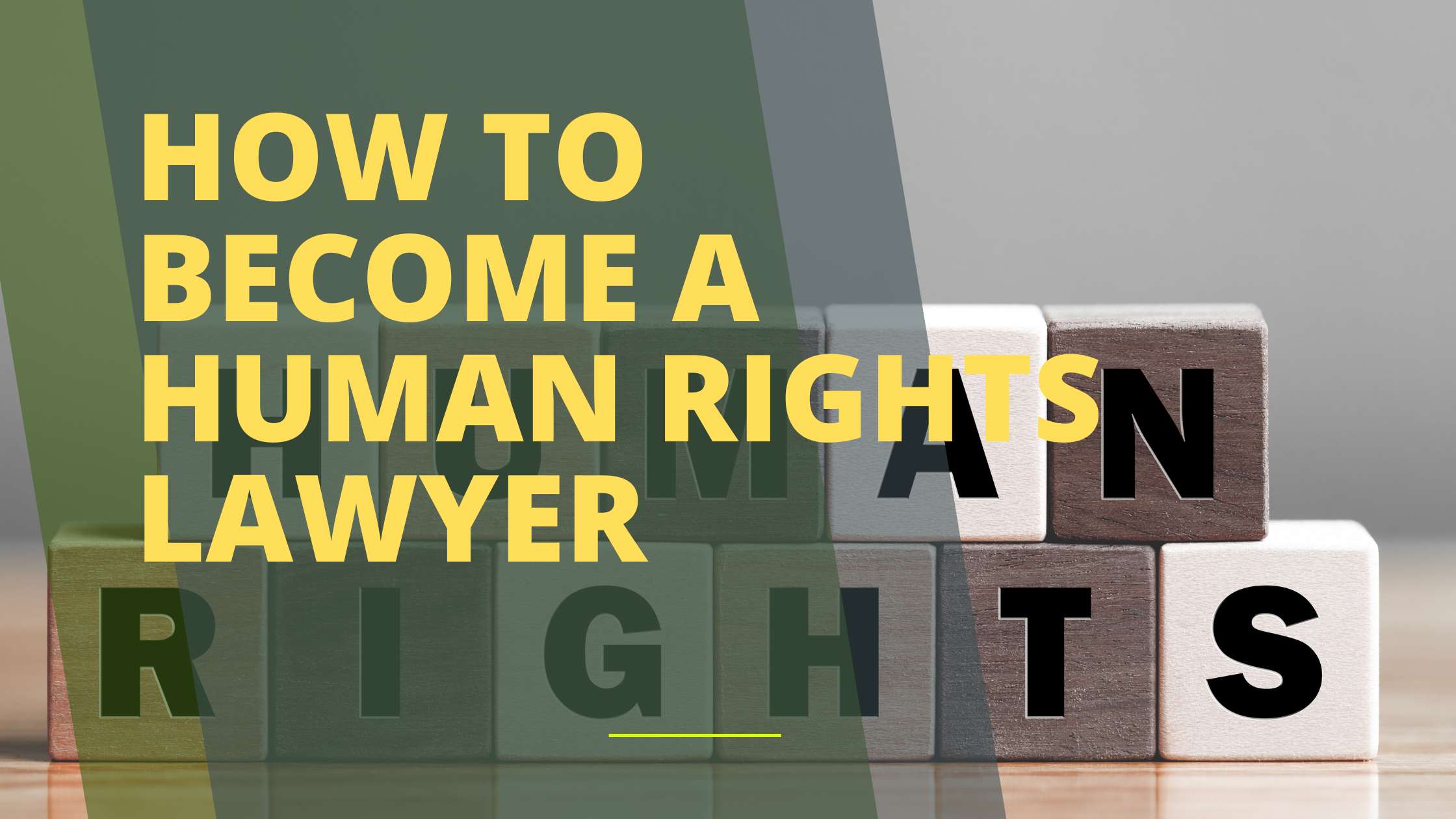 How to Become a Human Rights Lawyer